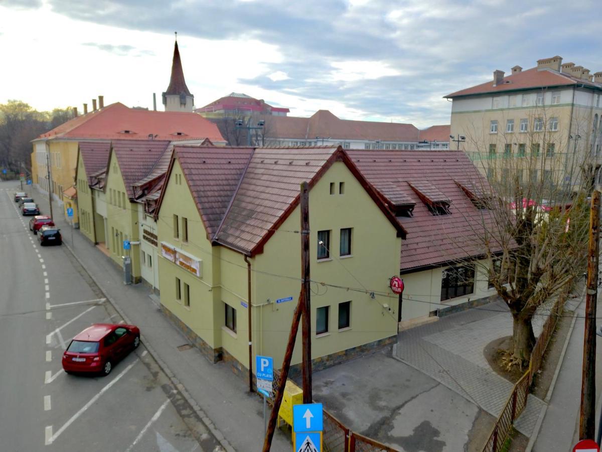 Pensiunea Luceafarul Sibiu Buitenkant foto